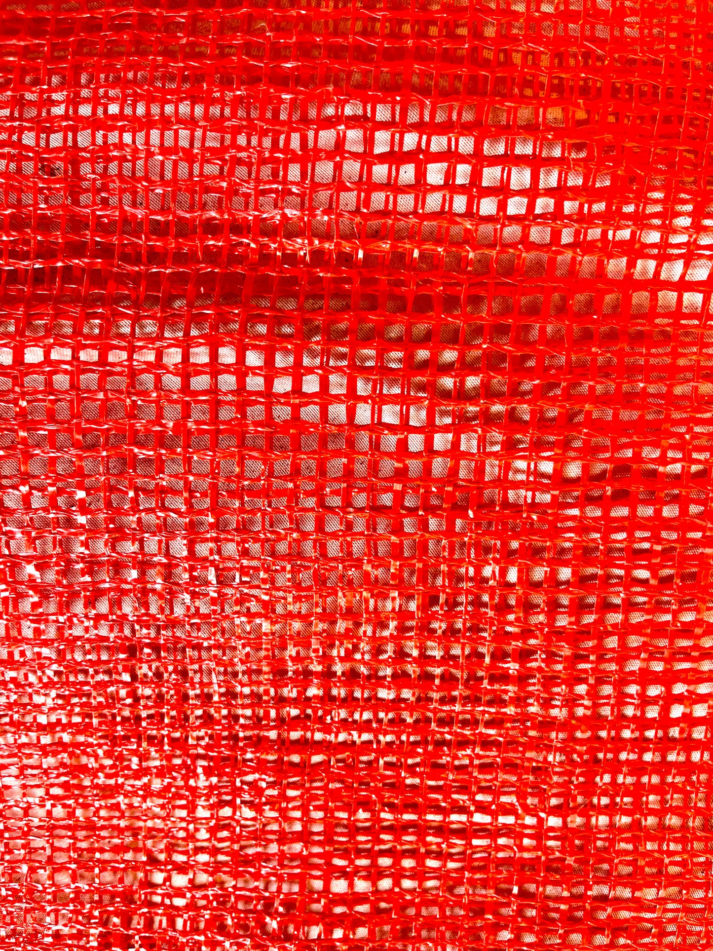 Mesh Produce Bags