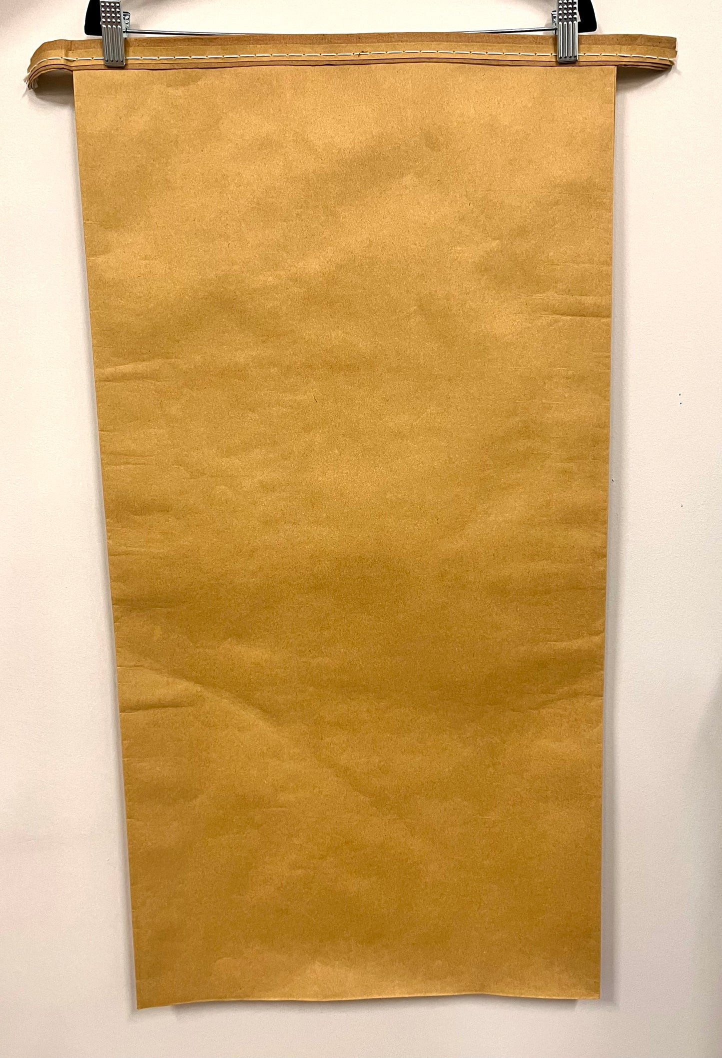 Paper Poly Bag