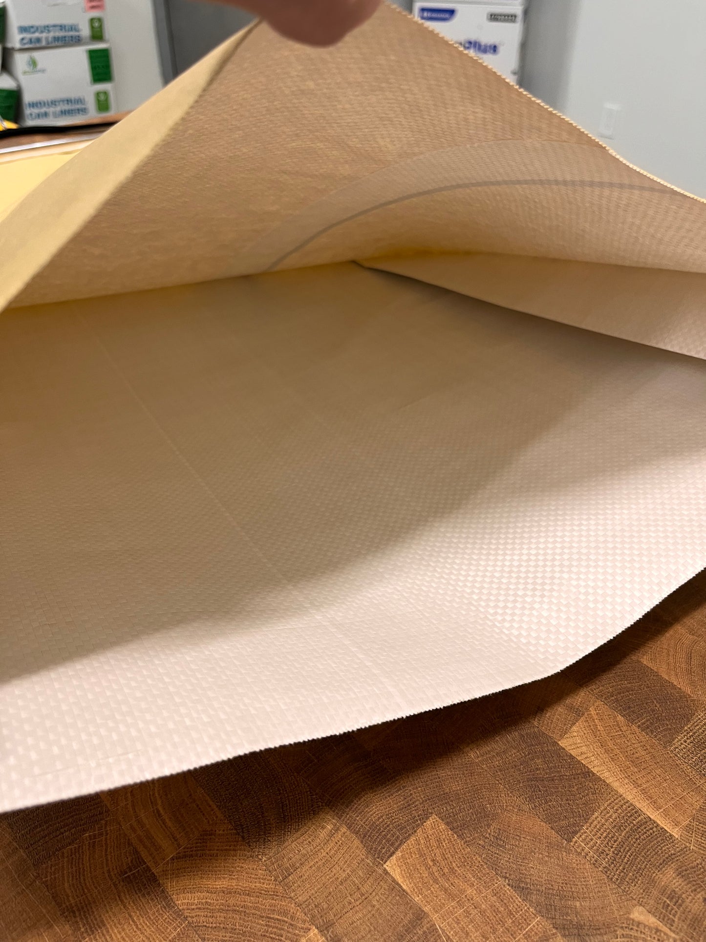 Paper Poly Bag